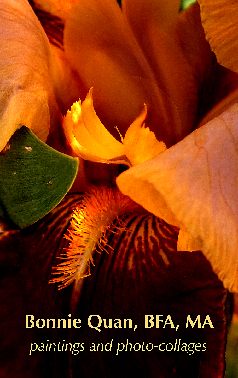 Bonnie Quan, artist QuanArtworks